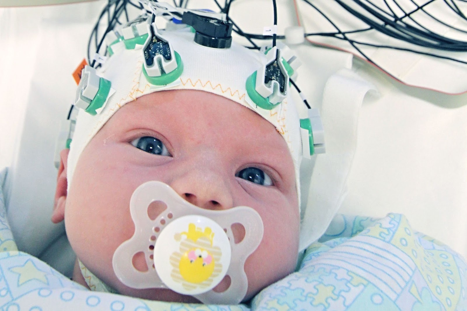 Kuva: Peter Palo-oja